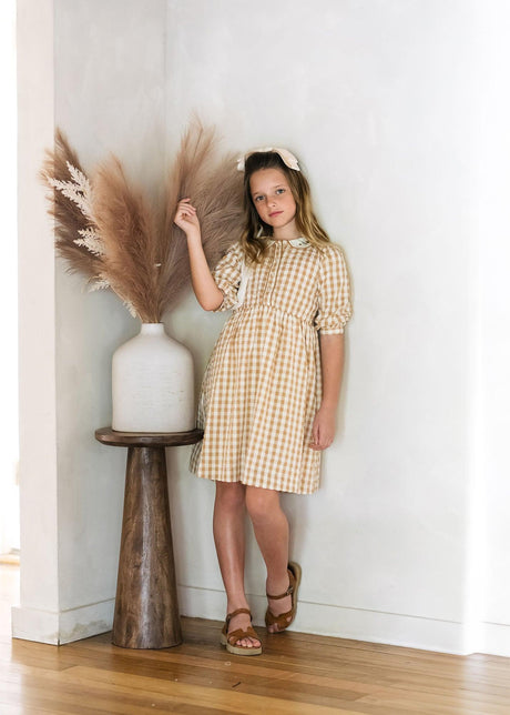 Analogie by Lil Legs Gingham Collection Girls 3/4 Sleeve Dress - GDQ