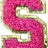 Letter S - Hot Pink