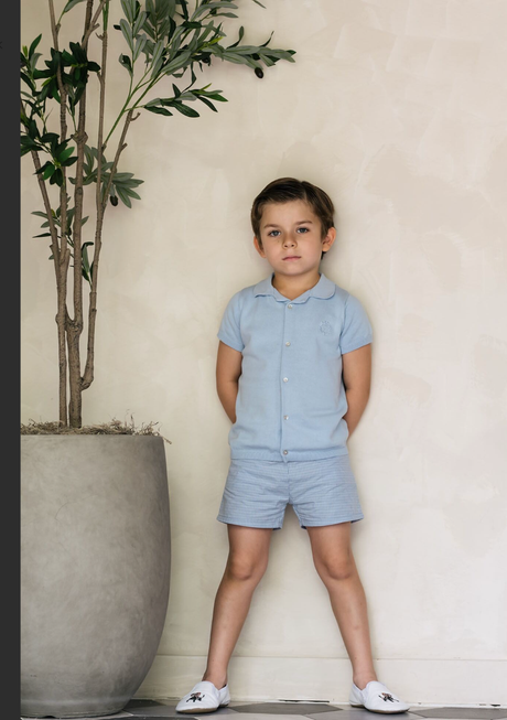 Analogie by Lil Legs Windowpane Collection Boys Button Dress Shorts - WPBS