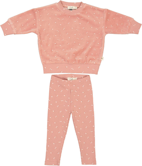 Bebe Bella Baby Boys Girls Velour & Rib Printed Outfit - WB4CY2498E