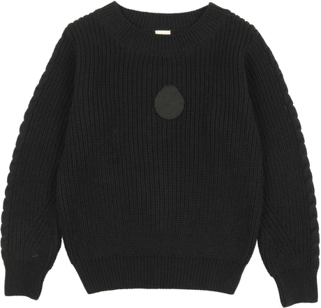 Analogie by Lil Legs Shabbos Collection Boys Chunky Crest Knit Sweater